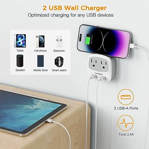 Image of TESSAN US to India Plug Adapter, Type D Travel Adaptor with 2 USB Charger Ports 2 American Outlets, USA to Indian Power Adapter for Nepal Bangladesh Maldives Pakistan Tanzania Sri Lanka