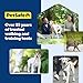 PetSafe Nylon Leash - Helps Maintain Secure Connection on Walks - Durable Pet Leash with Easy Clip - 1 in. x 4 ft. - Black