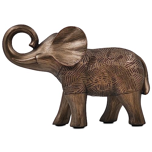 Consejos y comparativas para Comprar Pata de elefante planta para comprar hoy. 19 Consejos y comparativas para Comprar Pata de elefante planta para comprar hoy. 19