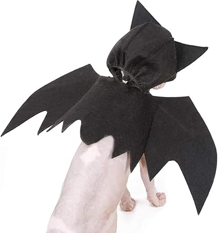 Amazon 猫のための面白いとかわいいコウモリの翼 ペットのコウモリの翼 猫のためのハロウィーンのコウモリの衣装 猫のためのハロウィーンの衣装 ペットの犬猫のハロウィーンのバットの仮装衣装の衣装の羽 Garden Seeds 帽子 通販