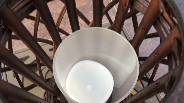 Watch Willow Reed Lantern on Amazon Live