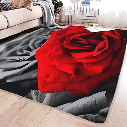 Large Farmhouse Rug Farmhouse Decor ,Romantic Rose Black White Red Painting Abstract Mat Area Rugs Home Decor Non-Slip Crystal Floor Polyester Mat 19.7X31.5Inch, 19.7X31.5Inch(50X80Cm) #TOP1