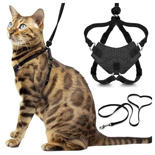Escape Proof Cat Harness and Leash