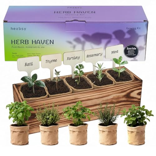 5 Herb Garden Kit with Wooden Box - Including Basil,