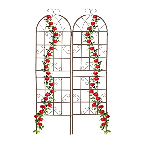 Relaxdays Rankgitter 2er Set, HxB: 179 x 52 cm, Rankhilfe für Kletterpflanzen, Metall, Rankspalier zum Stecken, braun
