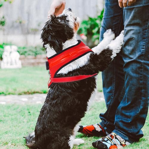 Chaleco luminoso LED para perros ajustable de nylon con batería USB integrada 7