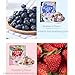 Freeze Dried Yogurt Bites - Real Fruits and Yogurt Combination Snacks， Individually Wrapped, 2 Packs (Strawberry and Blueberry Flavors)