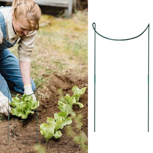 Support de tige d'escalade en métal robuste de jardin
