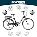 F.lli Schiano E-Moon 26 inch electric bike , city bicycle for Adults , bikes for adult Men / Ladies / women , e-bike with 250W electric motor 36V battery on the rear rack , accessories – lights