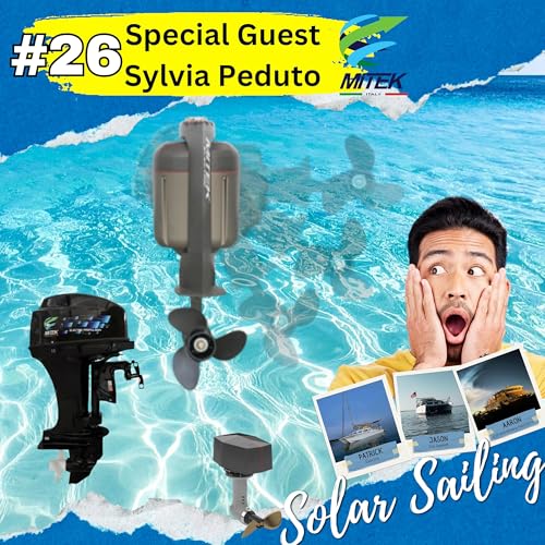 Mitek Electric Motors