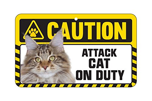 Caution Sign - Maine Coon Cat