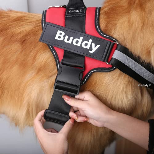 Kraftidy-Dog-Harness-with-Name-id-Customized-for-Dogs-Large-Medium-Small-Puppy-All-Breeds-No-Pull-Harness-Reflective-Vest-Harness-Belt-Adjustable-with-Personalized-Dog-Name-with-Leash-Large-Dogs