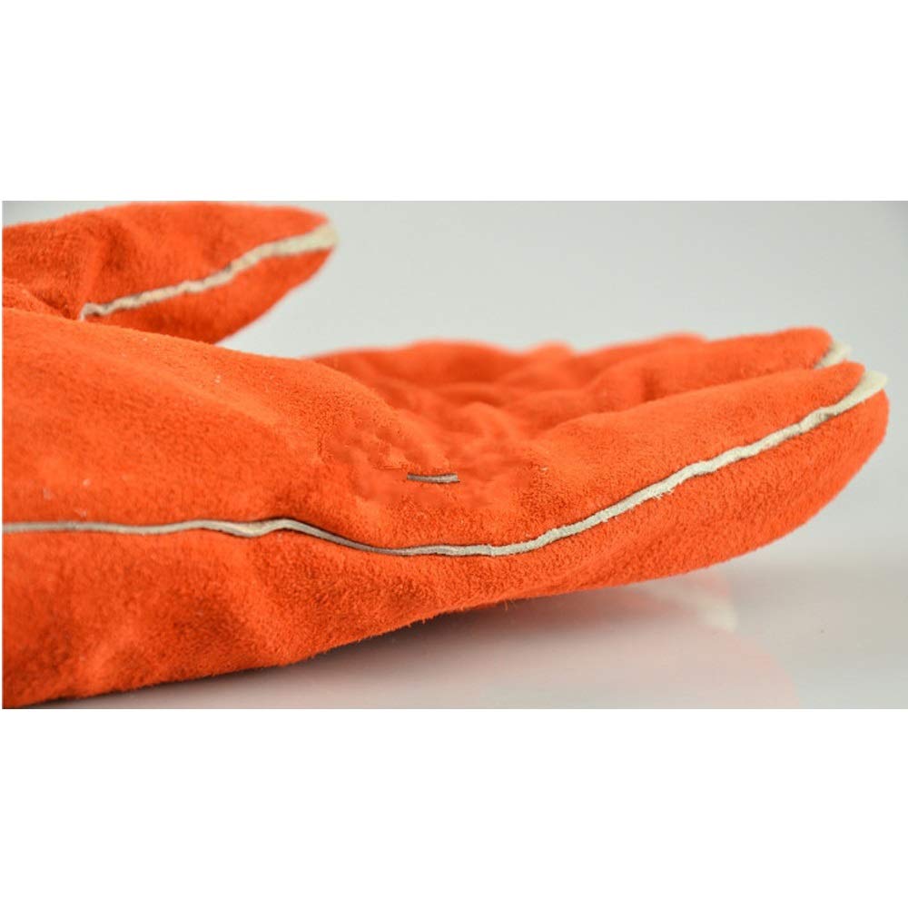 Ywlanlantrading Handschuh Bissfeste Handschuhe Anti-Biss-Schutzhandschuhe  fr Hund, Katze, Reptil, Tier Rindsleder Stichsichere Sicherheit  Bisshandschuhe Haustiere Griffiges Beien Schutzhandschuhe : Amazon.de:  Haustier