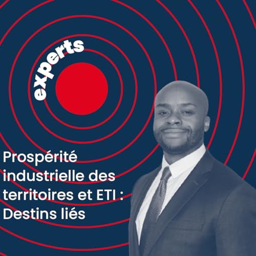 Prosp&eacute;rit&eacute; industrielle des territoires et ETI : Destins li&eacute;s l G&eacute;rard Messanvi, D&eacute;l&eacute;gu&eacute; G&eacute;n&eacute;ral Adjoint du METI