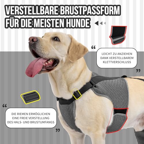 Arblina OP Body Hund, Hundebody mit Bein, Upgradeter Rutschfester Hundebody nach OP für Männliche & Weibliche Hunde, Justierbarer Ganzkörperiger Body Hund nach Beinoperation, XL