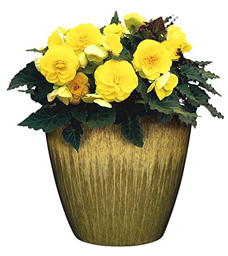 Classic Home & Garden Planter, Resin, Willow Green, 8 Inches - Image 2