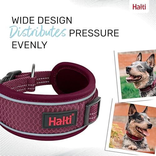 Image of Halti Anatomy Dog Collar | Size M, Magenta | Wide Design Collar for Pressure Relief | Padded, Reflective & Adjustable | Matching Leash & Harness | For Medium Dogs
