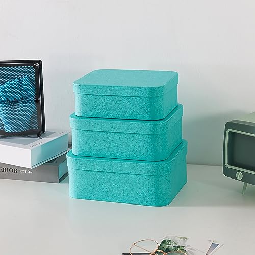 Cajas, cajas decorativas de carton Marca Soul & Lane (3)
