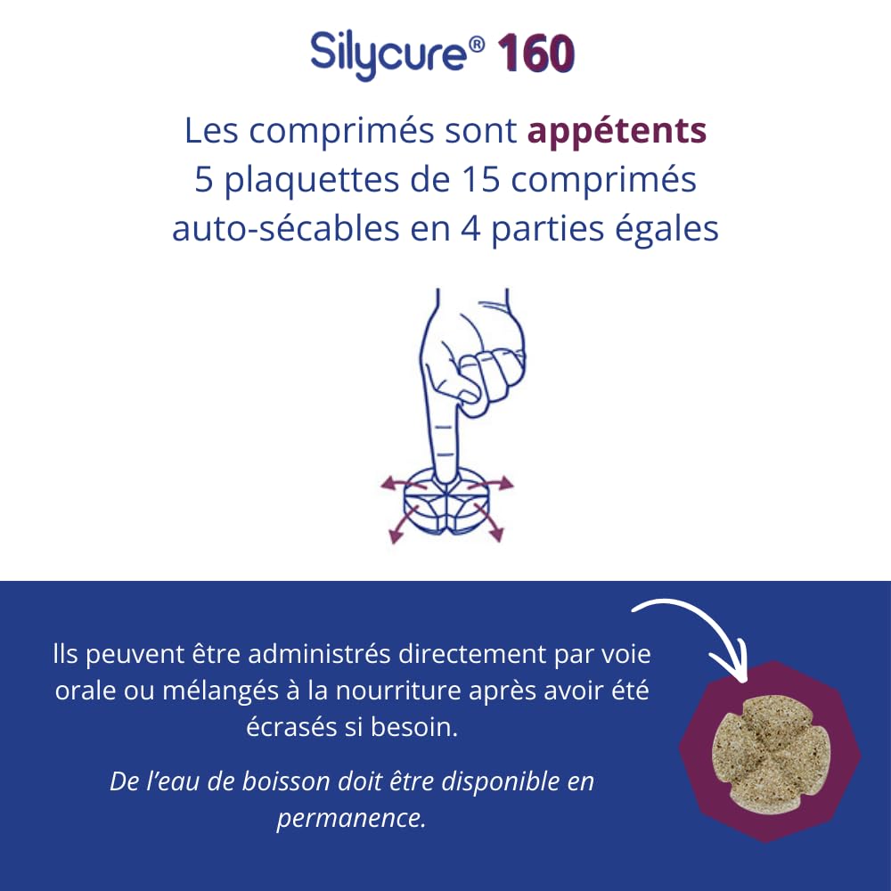 ANIDEV Silycure 160 - Aliment complémentaire Soutien Fonction hépatique Chien - Silybine Chardon Marie - Comprimés appétents quadrisécables - 75 comprimés