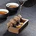 Imagen de Té de arcilla morada para mascotas pequeños cerdos beben agua de cerámica cruda Kung Fu té decoración del hogar
