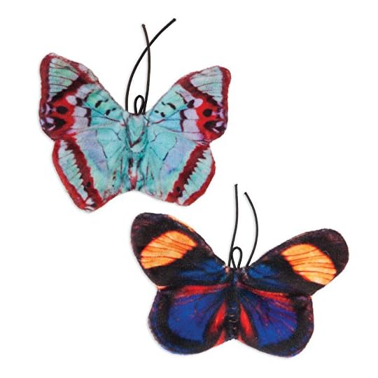 
                            JACKSON GALAXY 32443 Crinkle Flies-Butterfly for Cats (2 Pack)
                        