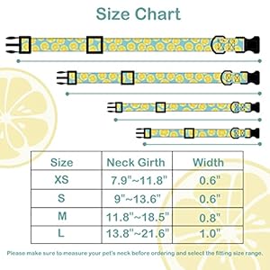 Faygarsle Cute Dog Collar for Girls Boy Dogs Soft Fancy Pet Collar with Lemon Design Ideal Yellow Green Summer Dog Collar for Small Medium Large Dogs M
