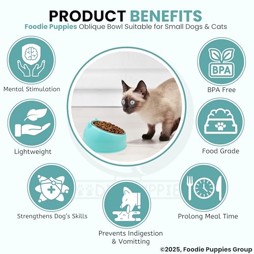 Image of Foodie Puppies Elevated Cat Bowl - (Oblique, Blue) | 15 Tilted Bowl Food & Water Drinking Feeder with Non-Skid Base | Durable, Anti-Vomiting, Stress-Free Bowl Suitable for Cats, Puppies & Small Dogs