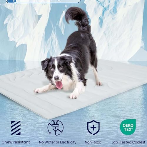 Tapis de glace pour chien et couchage de refroidissement lavable extérieur intérieur