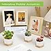 OAMCEG Succulent Pots-4 inch Pots for Plants,4 Pack Small Ceramic Plant Pots,White Succulent Planter with Bamboo Tray- Plants Not Included