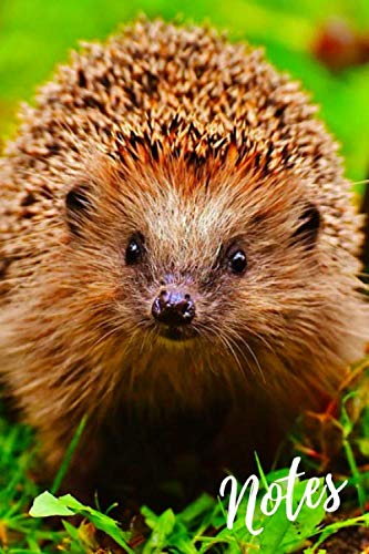 Notebook: Adorable Hedgehog Diary. Blank Lined Journal. Cute Hedgehogs Notepad For Animal & Wildlife Lovers