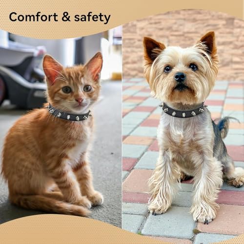 Collier à pointes pour chien et chat clouté durable bleu L - 5