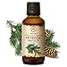 Fir Needle Essential Oil 1.7 Fl Oz - Fir Pure & Natural Oil - Good for Sauna - Body Care - Wellness - Beauty - Massage - Aroma Diffuser - Aromatic Lamp - Room Fragrance
