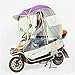 Produktbild GLJY Universal Auto Motor Scooter Regenschirm Motorrad Regenschutz, komplett geschlossenen Motor Scooter Regenschirm Mobilität Sonnenschutz & Regenschutz wasserdicht,Lila