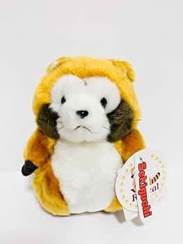 ラスカルぬいぐるみ 2004年製 51GL7-HEgUL._AC_UF350,