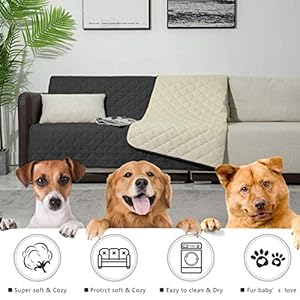 Dog-Bed-Covers-Dog-Rugs-Pet-Pads-Puppy-Pads-Washable-Pee-Pads-for-Dog-Blankets-for-Couch-Protection-Super-Soft-Pet-Bed-Covers-for-Dog-Training-Pads-1-Piece-52x82-Dark-Grey - Cucciolini Doodles Dog-Bed-Covers-Dog-Rugs-Pet-Pads-Puppy-Pads-Washable-Pee-Pads-for-Dog-Blankets-for-Couch-Protection-Super-Soft-Pet-Bed-Covers-for-Dog-Training-Pads-1-Piece-52x82-Dark-Grey