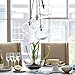 LightInTheBox Modern Chandelier Glass Globe Pendant Light 4-Lights Ceiling Hanging Light Fixture for Dining Room Kitchen Island Restaurant
