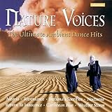  Orinoco Flow - Sound-A-Like Cover originally by Enya