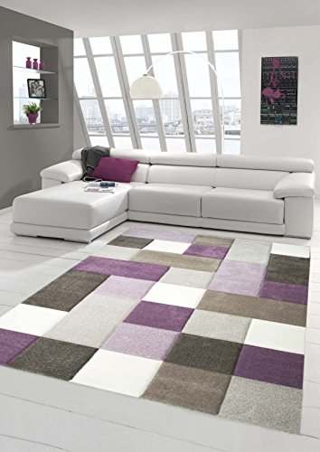 Traum Designer et Tapis Moderne Couleurs Pastel en verrerie Purple Crete Beige Größe 160x230 cm