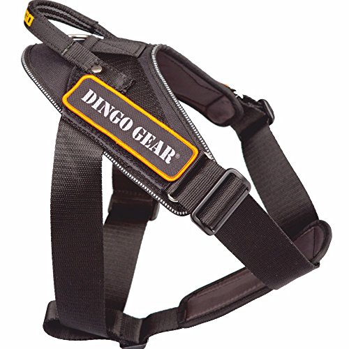 DINGO GEAR arnés para Trabajo con Cinta