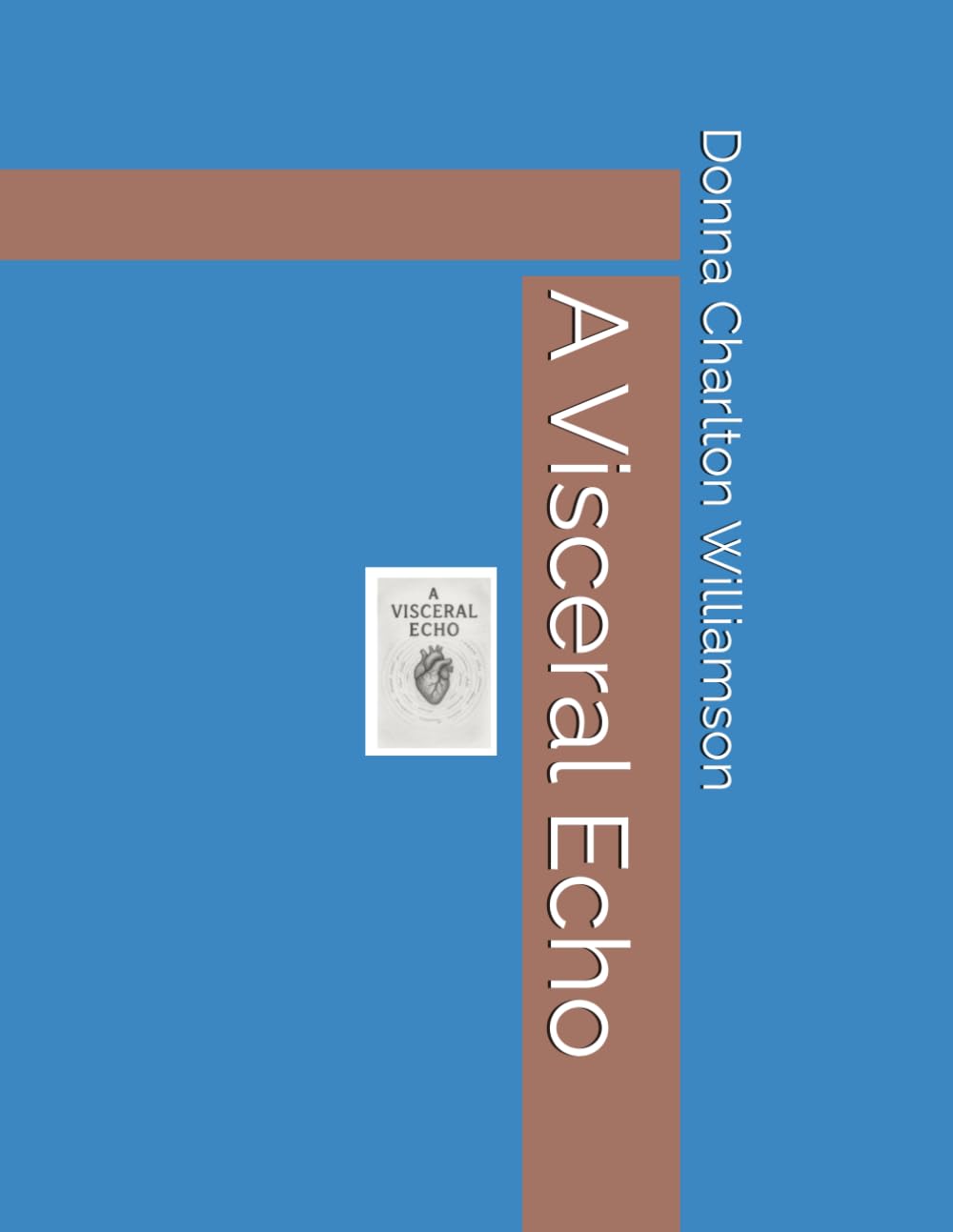 A Visceral Echo (The Echo's)