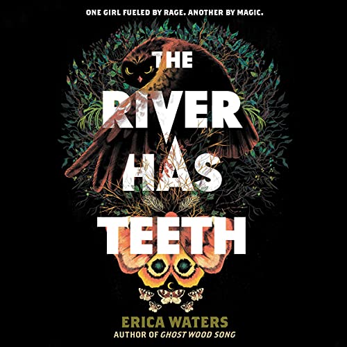 The River Has Teeth by Erica Waters episode artwork