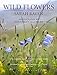 Sarah Raven's Wild Flowers
