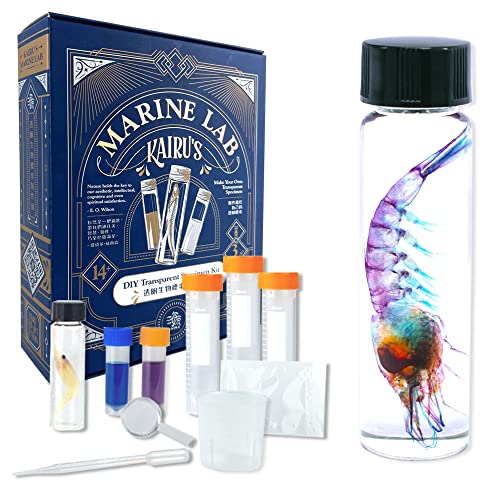 Image of DIY Transparent Specimen Kit, Shrimp
