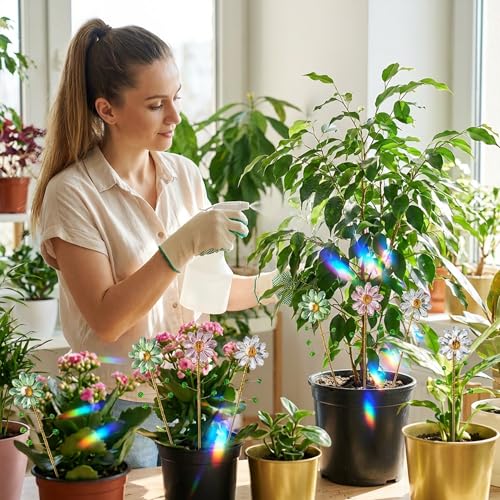 Attrape Soleil Cristal Rompt la Monotonie des Plantes Vertes en Pot - 8
