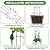 KINGLAKE Plant Trellis for Climbing Plants Indoor Outdoor - 2 Pack 32.7 Inch Green Expandable Metal Garden Trellis for Potted Climbing Plants Support Flower Vine Ivy Monstera Houseplant with Tape