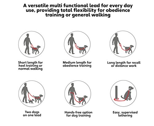 Halti Training Grafite (1,87 m), pequeno, preto