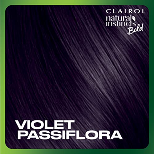 Clairol Natural Instincts Bold Permanent Hair Dye, V26 Violet Passiflora Hair Color, Pack Of 1 #TOP4