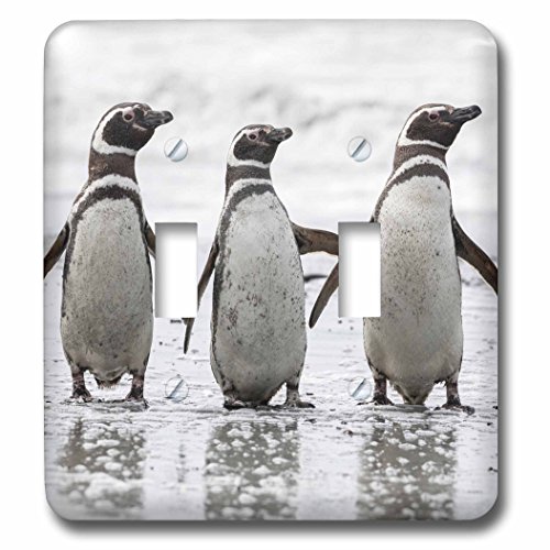 Interrupteur à bascule 3D Rose 229097 avec trois pingouins magellaniques sur la plage - 2