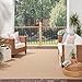 Nourison Home Courtyard Jute 9' x 12' Area Rug - Easy Clean, Non Shedding, Bed Room, Living Room, Dining Room, Kitchen (9' x 12')