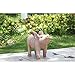 Hi-Line Gift Ltd Sitting Pig with Wings Laughing Statue
